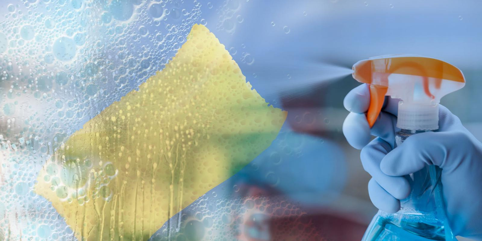 Limpeza e Conservação